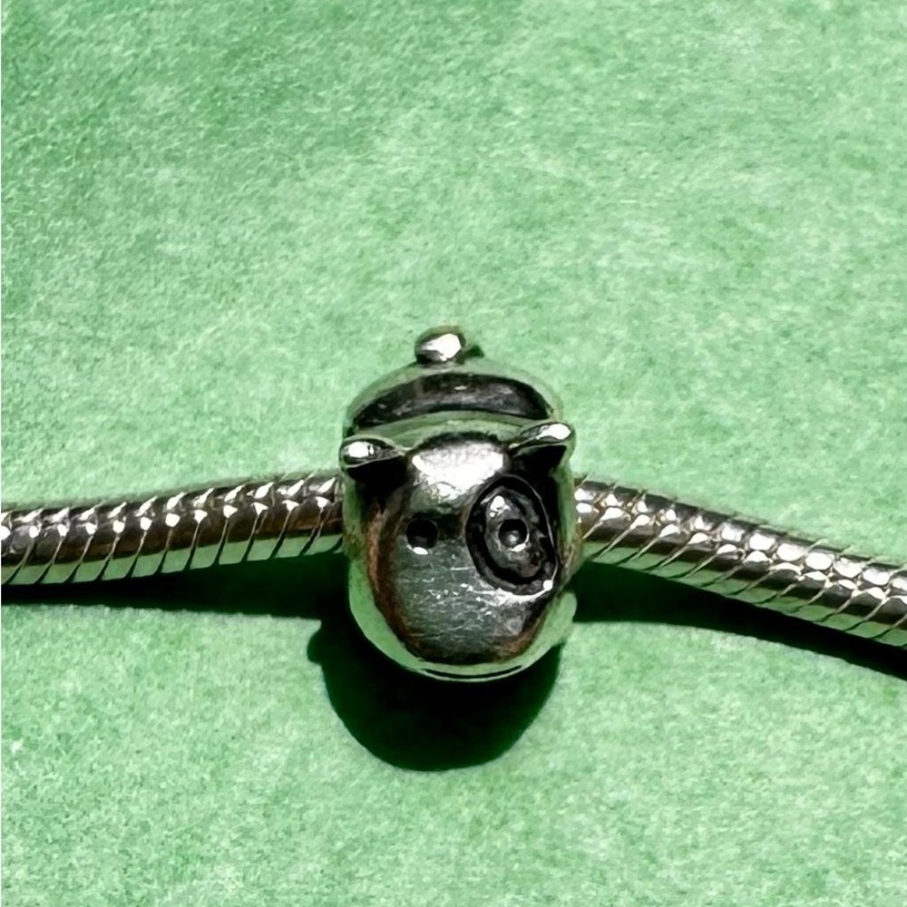 Pandora charm